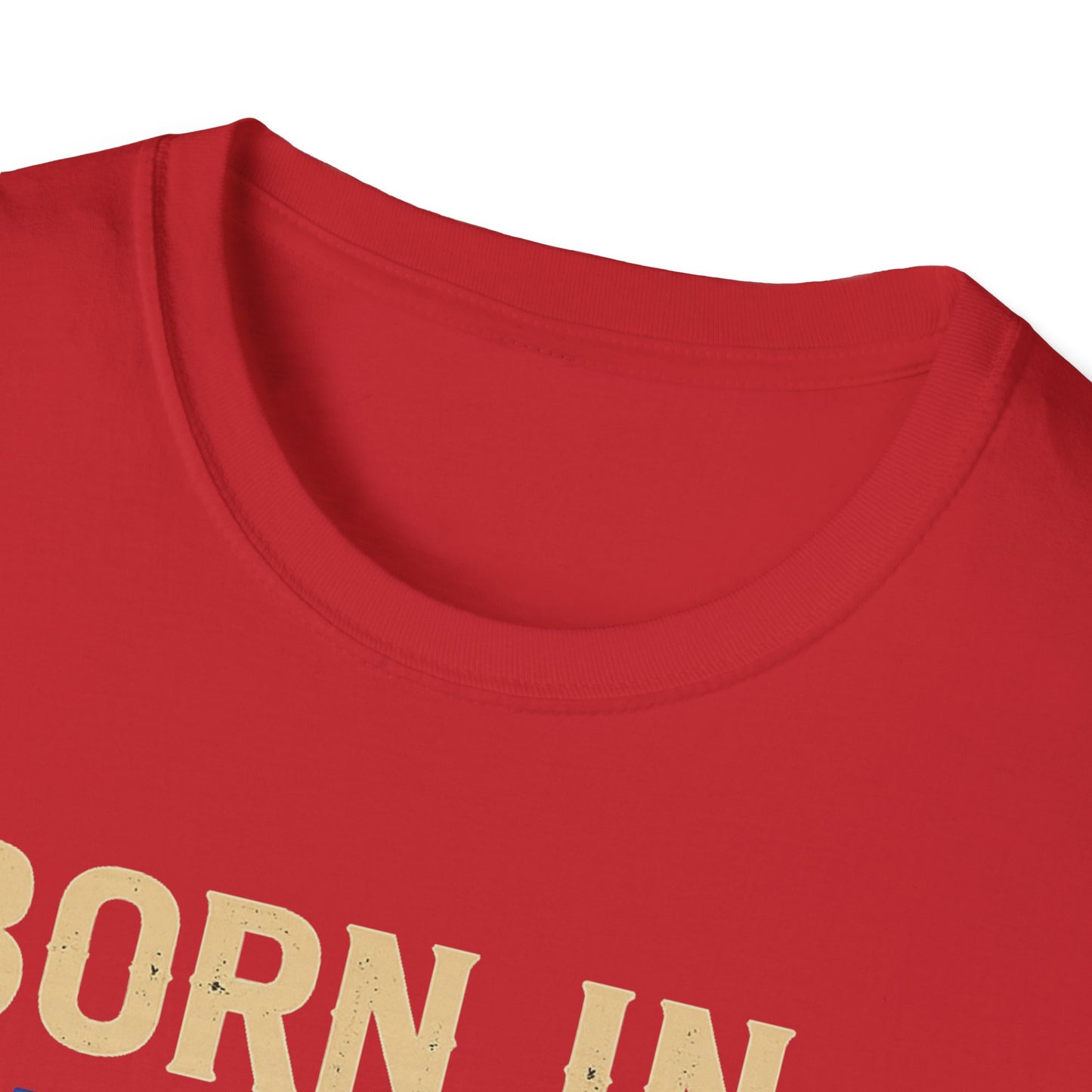 Born in Thailand, Taxed in America Unisex Tee